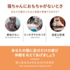 Cat Tunnel, Toy for Tunnel Loving Pets, Foldable, Cat Tunnel,