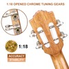 Hricane Professional Concert Ukulele 23 Inch for Adults, Koa Acacia