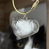 6Pcs Pet Hair Storage Bottles, Pet Commemorative Keychains, Transparent Cat