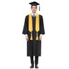 D DODOU Unisex Adult Matte Graduation Cap and Gown Set