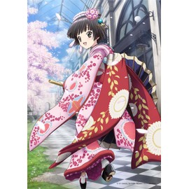 Croisee In A Foreign Labyrinth It 315 Piece gyaruri Cherry MBG – 315 – 502 