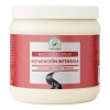 Mascarilla Capilar Reparación Intensiva (1 Kilo)