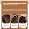 Airtight Coffee Canister 304 Stainless Steel Valve with Scoop for