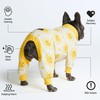 Spark Paws Dog Pajama, Dog Recovery Suit Male, Onesie, Ultra-Soft