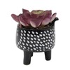 Flora Bunda Artificial Plants in Cute Animal Novelty Planter Artificial