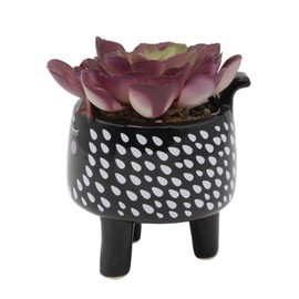 Flora Bunda Artificial Plants in Cute Animal Novelty Planter Artificial Succulent in 4.75" Small Black White Cat Ceramic Planter, 4.75 x 4.75 x 6 inches