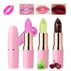 Likesing Lipstick Black Set Lip Gloss 24 Hours