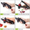 Cherry Pitter Stainless Steel, Cherry Stone Remover, Cherry Pitter Manual,