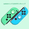 Doyeemei Cute Cat Claw Rocker Cap [Switch/Switch Lite Compatible] Analog
