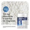 Suplemento Magnesio 5 En 1 Lifeed5 Citrato De Magnesio, Glicinato