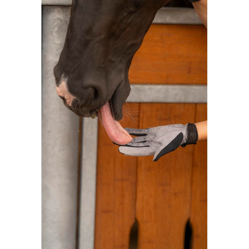Roeckl Sports Lokaier Women's Summer Riding Gloves, Black 8.5