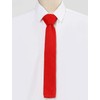 Allegra K Knit Tie, Narrow Tie, Solid Color, Men's, Washable,