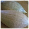 Everwilde Farms - 1 Oz Sibley Winter Squash Seeds -