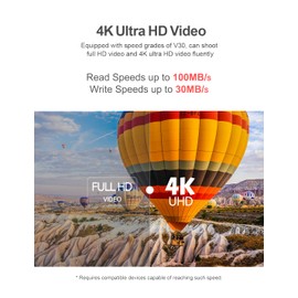 Netac 256 GB Memory Card, Micro SD Card (A1, U1, C10, V10, FHD, 600X), TF Memory Card UHS-I up to 90/10 MB/s(R/W) for Cameras, Dashcam, Switch and Smartphones