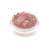 Neve Cosmetics Mineral Blush Free Powder English Rose