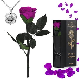 Ledoira Preserved Real Rose Forever Flowers with Heart I Love You Necklace Unique Gifts for Her Mom Grandma Wife Girlfriend Birthday Valentines Christmas Thanksgiving Mother’s Day (Purple)
