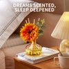 Reed Diffusers Set Grapefruit Scent, 7.10 oz Diffusers for Home