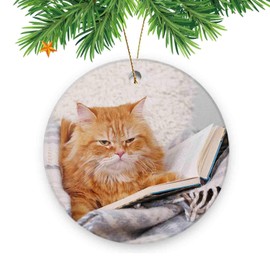 Adornos de Navidad para familia, gato y libros, divertido recuerdo de cerámica para decoración del árbol de Navidad
