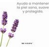 Castile Body Lotion - Lavender by Dr. Natural for Unisex