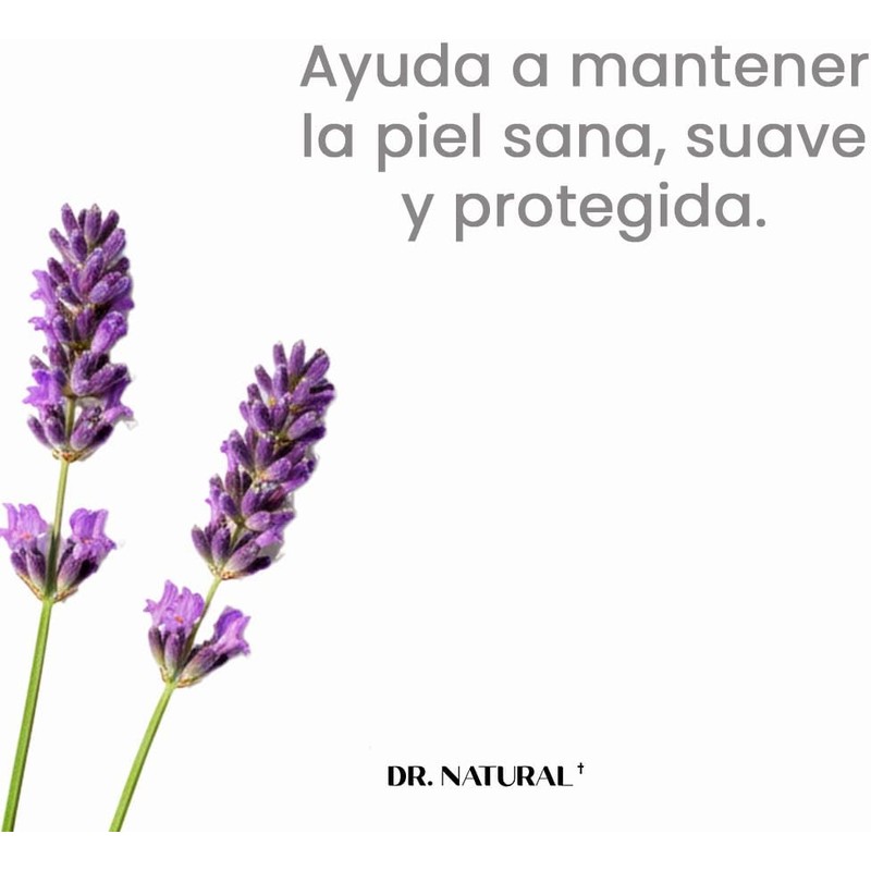 Castile Body Lotion - Lavender by Dr. Natural for Unisex