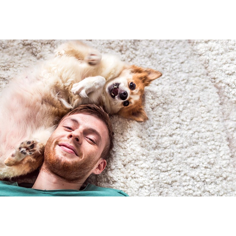 Nutri Chomps Large Twists 6" Rawhide Free Milk Flavor Braid