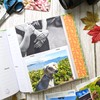 Robert Frederick, Percy The Park Keeper Photo Album, Holds 100
