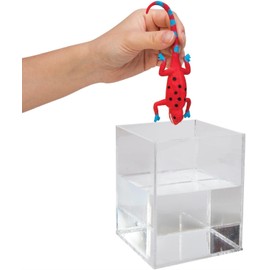 Schylling Color Changing Revealeons Toy, 1 EA