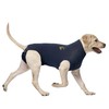 Animal Pet Shirt Small Navy