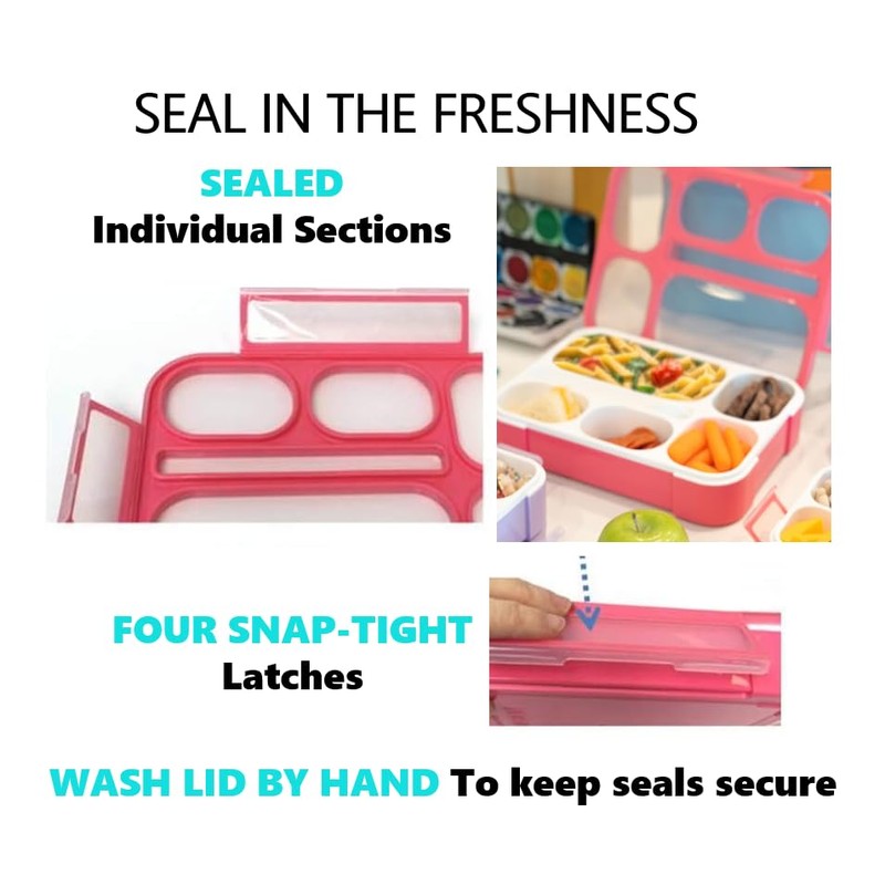 Bento Boxes with Bags and Ice Packs Set of 2.