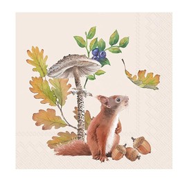 IHR Ideal Home Range Cocktail Napkins Disposable 3-Ply Paper Party Napkin Pack, 5" x 5", Fall Squirrel, 20-Count