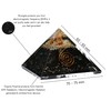 Shungite Orgonite Pyramid for EMF Protection and Negative Energy Protection