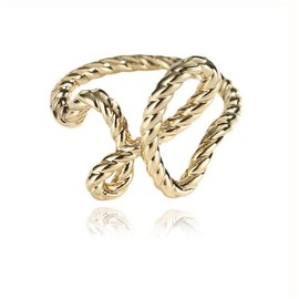 Fashion H Scarf Rings Clips for Women Vintage Twisted Rope T-Shitrt Ties Clips Clothing Dress Accessories Slide Buckles Clasps for Loose Clothes Corner (Golden)