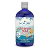 Nordic Naturals Children’s DHA, Strawberry - 16 oz for Kids