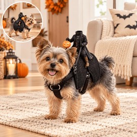 Halloween Headless Horseman Cat Costume for Pet Dress-Up – Adjustable 3D Rider Design for Parties and Photos