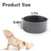 10 Pcs Small Reptile Water Bowl Food Dish Feeding Bowl