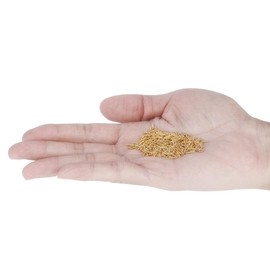 200pcs ojo pines tornillos ojetes ganchos roscados bails hallazgos para arcilla, resina, grano, fabricación de joyas de plástico(Gold)