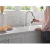 Delta Alpen SpotShield Stainless Single Handle Pull-Down Kitchen Faucet with