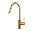 FORIOUS Gold Kitchen Faucet with Pull Down Sprayer, Kitchen Faucet