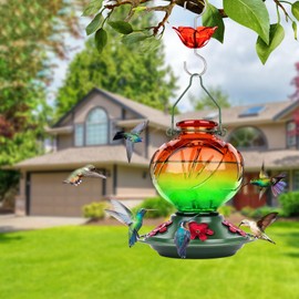 BOLITE Hummingbird Feeder, Glass Hummingbird Feeders for Outdoors Hanging, 22 Ounce, Five Feeding Ports with Perch, Peony Flower Shape, Orange and Green