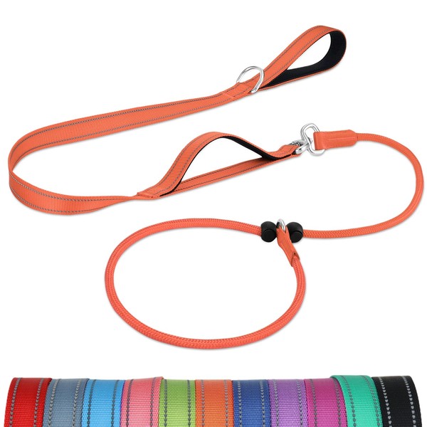 Joytale Tangle-Free Slip Leads for Dogs, 6 FT Slip Leash