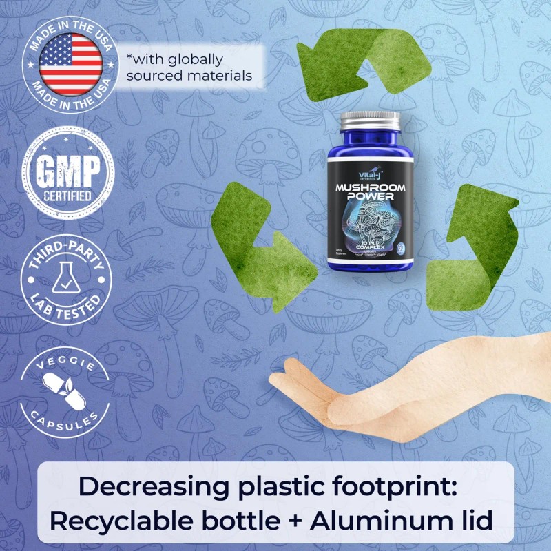 Complejo De Hongos 10-en-1 60 Cápsulas - Vital-j