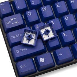TAI-HAO OEM Profile Blue Keycaps 117 ANSI Layout Compatible with All MX Types Keyboards(61/87/104/108+1.25 Fn + 1.75U/ 2U Shift Key) Custom Keycap Set