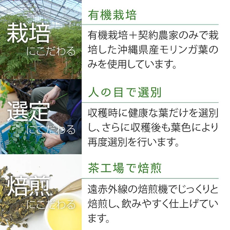 nichie モリンガ茶 焙煎 沖縄県産 80g