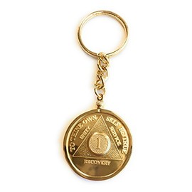 1 Year 24k Gold Plated AA Medallion In Keychain Removable Sobriety Chip Holder