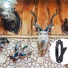 Lounsweer 15 Pack European Skull Mount Hanger Skull Wall Mount