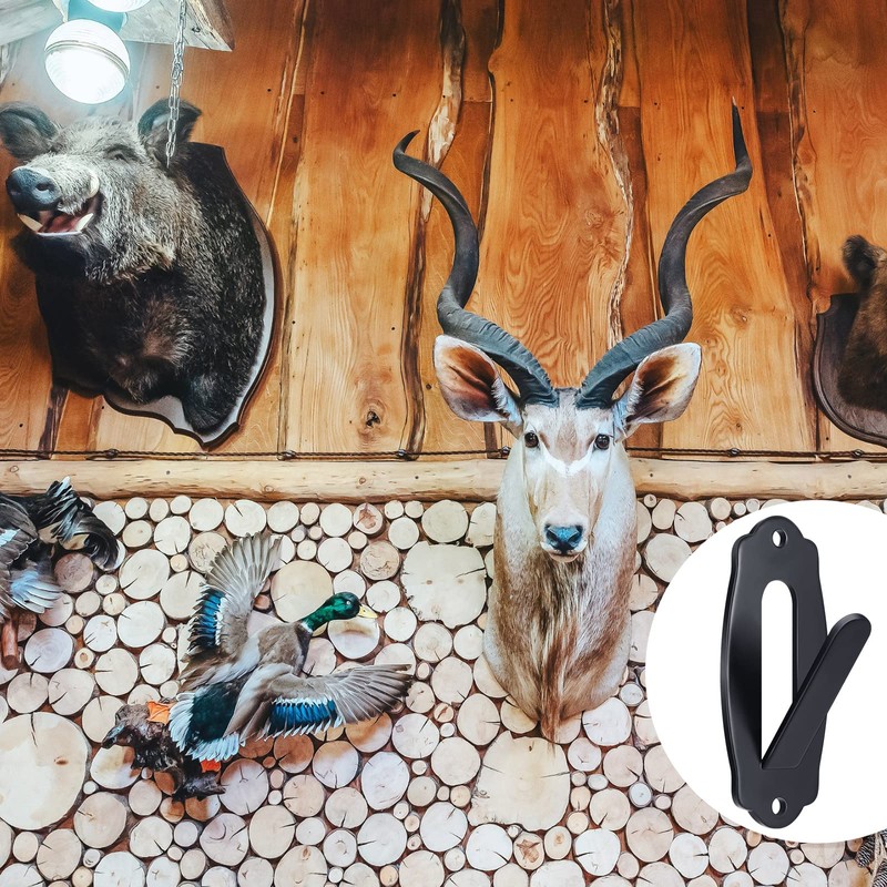 Lounsweer 15 Pack European Skull Mount Hanger Skull Wall Mount
