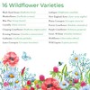 Kansas Wildflower Seed Mix, Covers 325 Sq Ft, 16 Flower