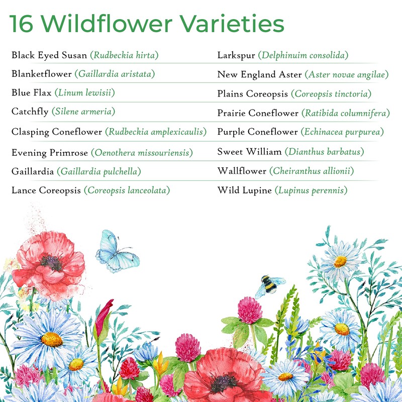 Kansas Wildflower Seed Mix, Covers 325 Sq Ft, 16 Flower