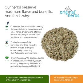 CUDWEED, GNAPHALIUM ULIGINOSUM L | Original Herbs Herbal Tea – Wild Crafted Herbs Tea –50g