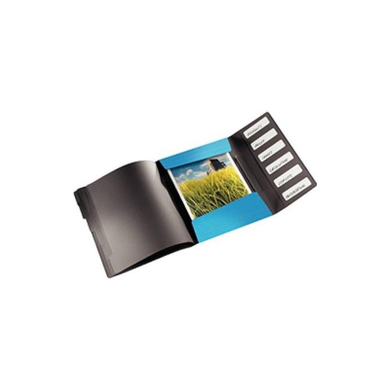 Leitz Solid A4 Index File, 12 Compartments, PP